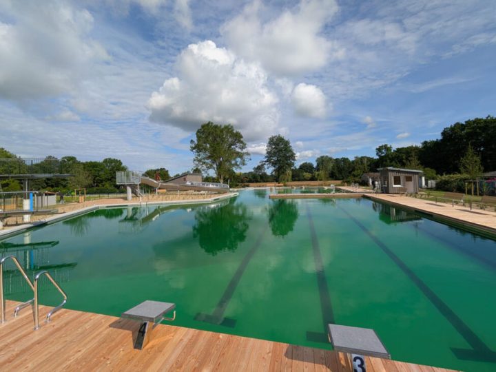 Blick über das Naturfreibad mit Stegen und Startblöcken